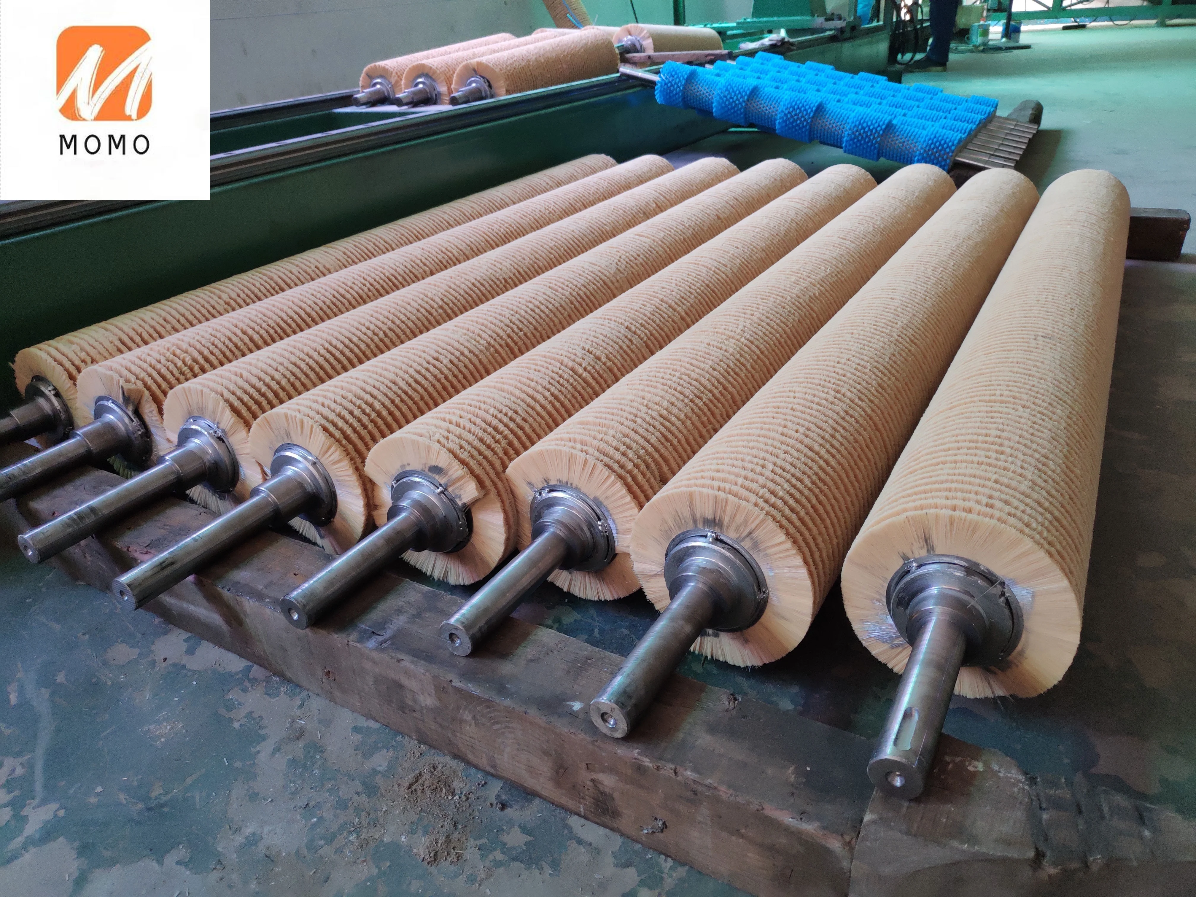 

Industrial brush roller for processing fruit and vegetable