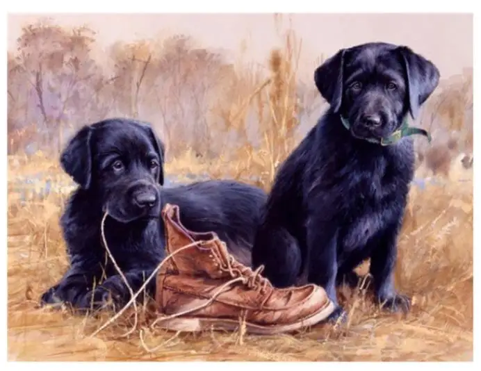 Животные алмазная живопись щенок лабрадор мозаика вышивка детские игрушки