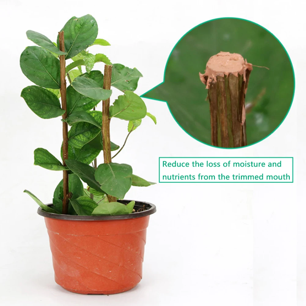 

50g Pruning Compound Effective Grafting Home Easy Use Stay Hydrated Healing Cream Tree Wound Bonsai Cut Paste Fast Garden Plant
