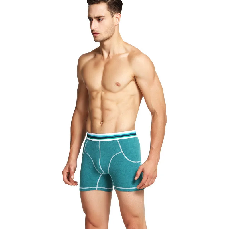 J-BOX, 1 шт., мужское сексуальное нижнее белье, Cueca, хлопковые гей трусы-боксеры дышащие трусы, мужские трусы размера плюс, льняные Длинные боксеры, нижнее белье