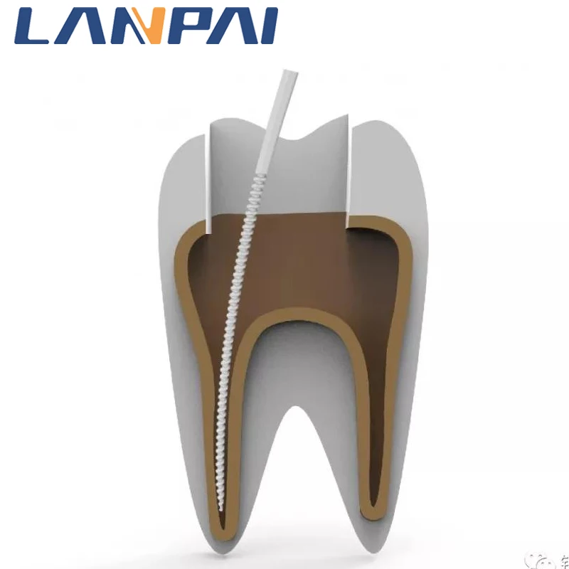 Lanpai Dental Ultrasonic Scaler  Multi-Function Scaler for Teeth Maxpiezo 7+ (EMS Adaptation) With Free Work Tips And LED Light