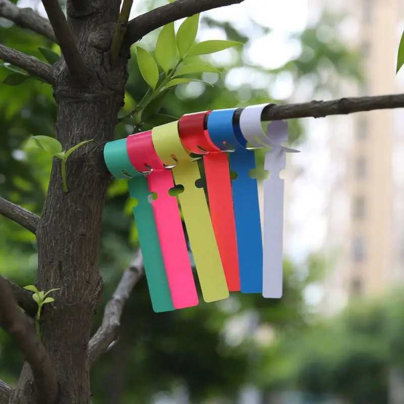 

100PCS Colorful Bonsai Plant Markers Garden Succulent Seedings Tags Sign PVC Gardening Labels Stake on Soil Paint Sticks