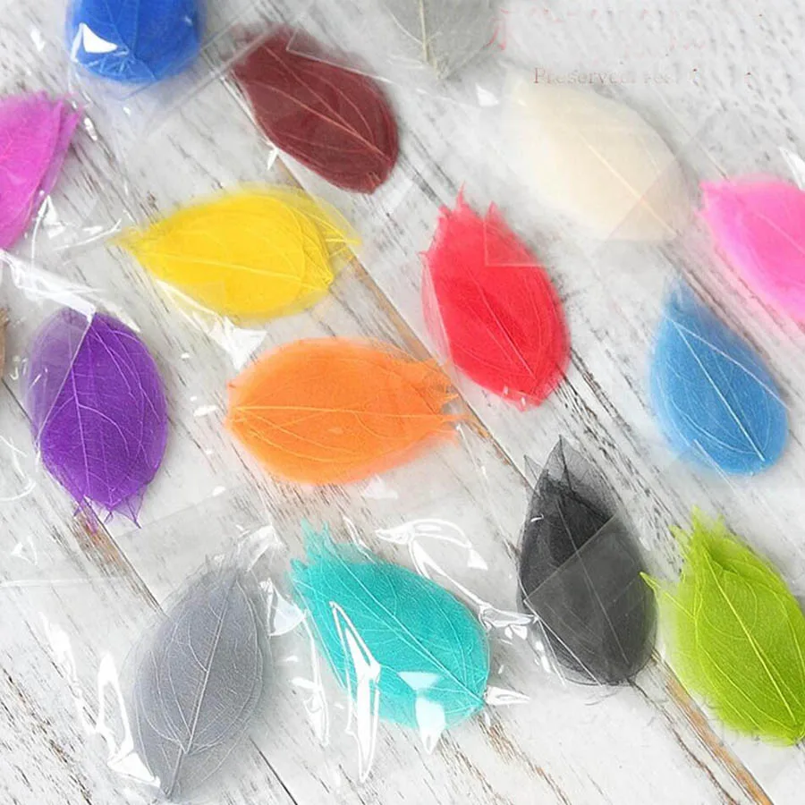 

100pcs 4-8cm Preserved Flower Magnolia Skeleton Veins Leaves For Wedding Party Birthday Valentine's Day Gift Favors DIY Bouquet