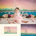 Фон для фотосъемки на день рождения с изображением розового Парижа Эйфелевой люстры