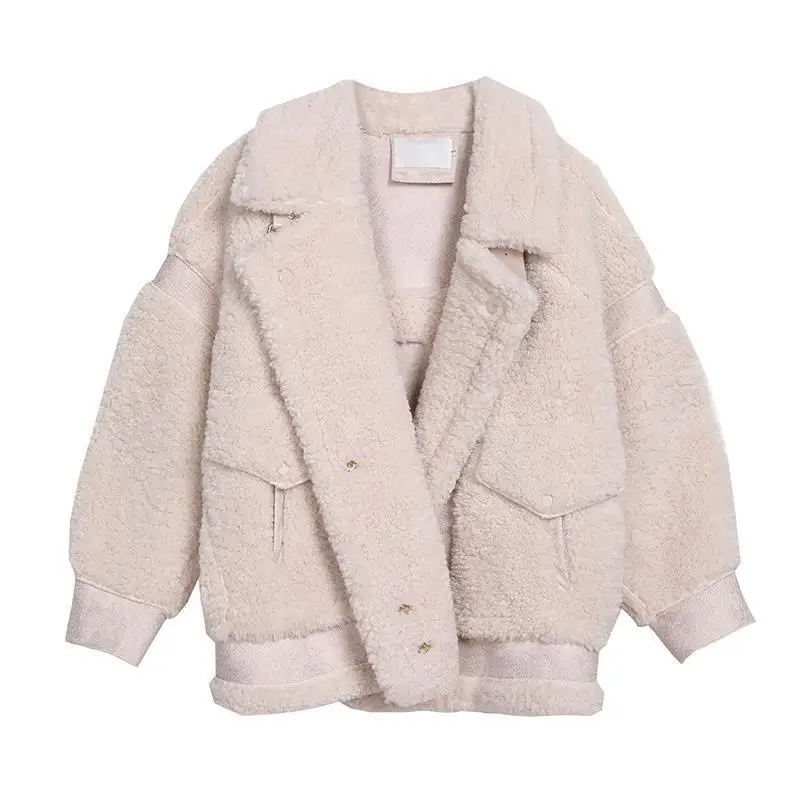 

Faux Fur Coat 2020 Single Breasted Faux Lamb Fur Jacket Warm Thick Fashion Loose Ladies Coats Winter Jacket Women Teddy Jacket