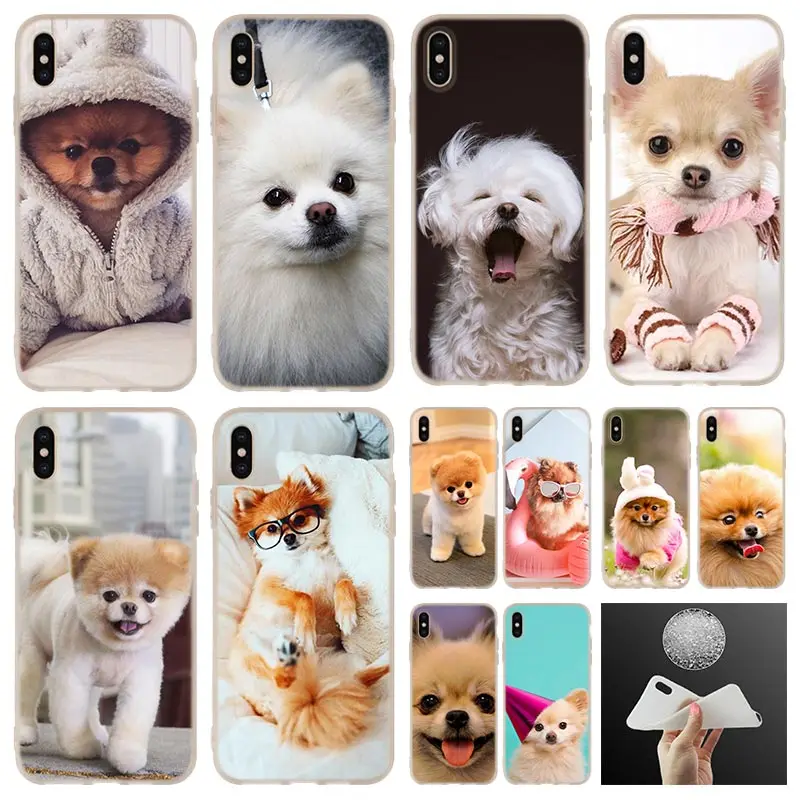Милый мягкий силиконовый чехол для телефона Pomeranian dogs iPhone 11 Pro 7 8 Plus XR XS Max 4 5 5S SE 6 s