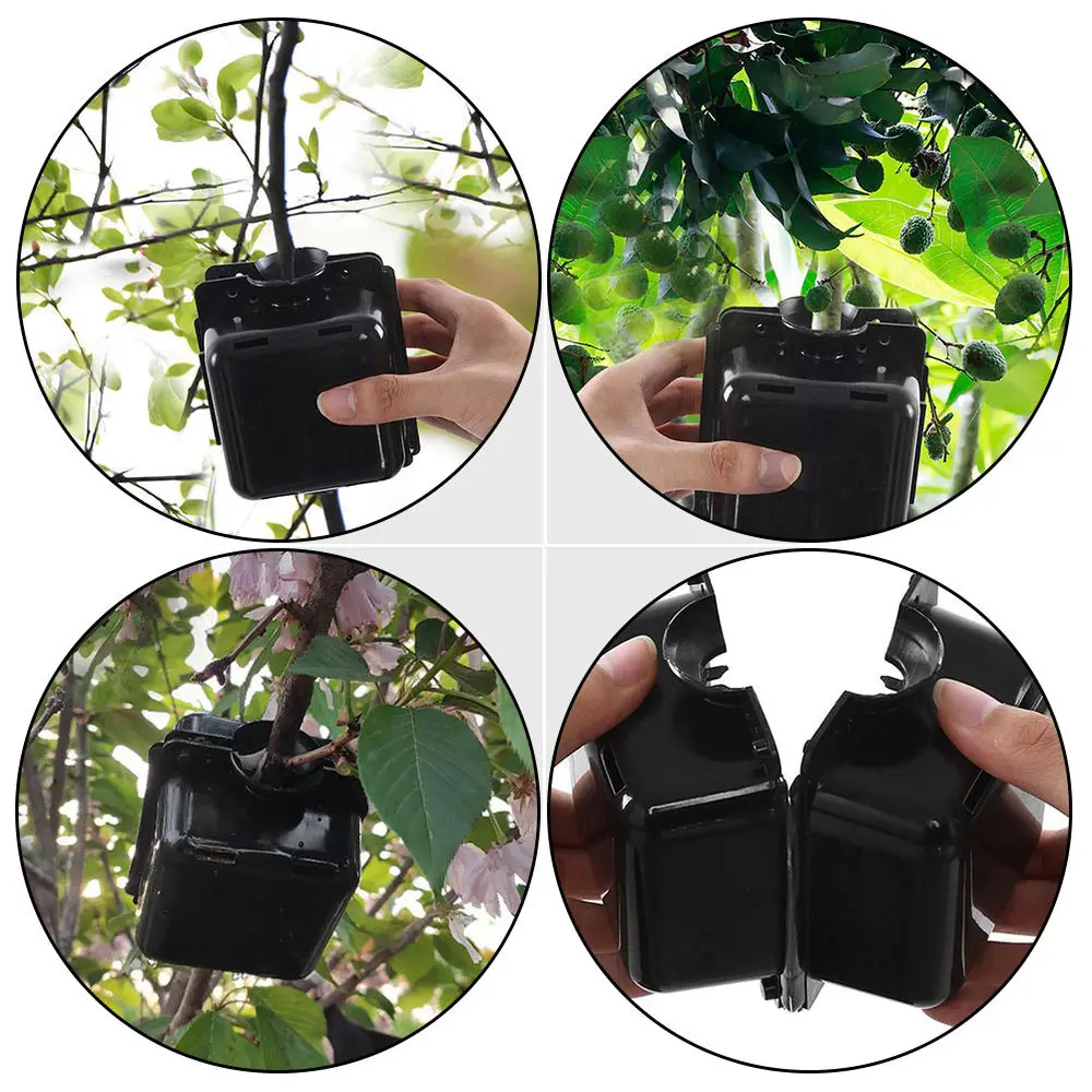 

3Pcs Reusable Square Plant Rooting Devices High-pressure Plant Rooting Boxes
