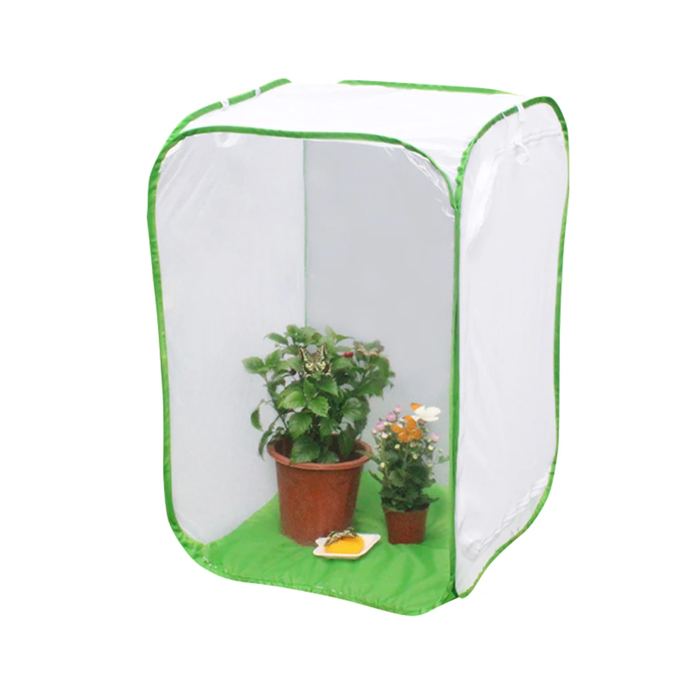 Набор для насекомых-бабочек оригинальный набор обучения естественным наукам