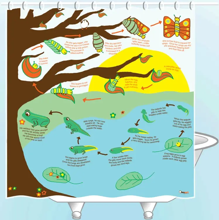 

Simple Memory Art Metamorphosis Shower Curtain - EVA Viny
