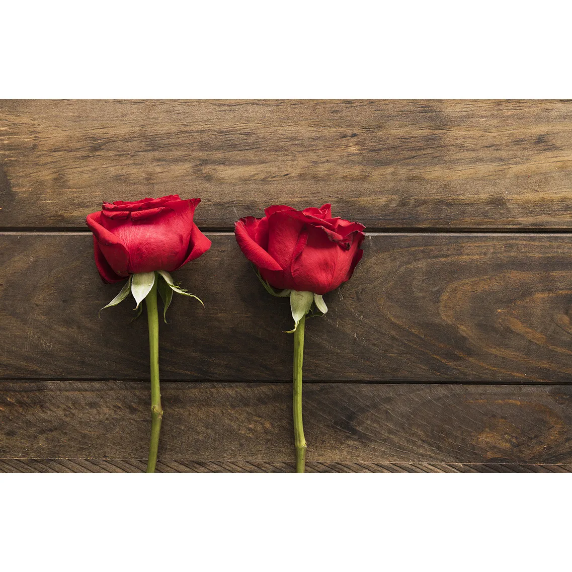 

SHENGYONGBAO Vinyl Custom Photography Backdrops Flower and Wooden Planks Theme Photography Background 191030BV-005