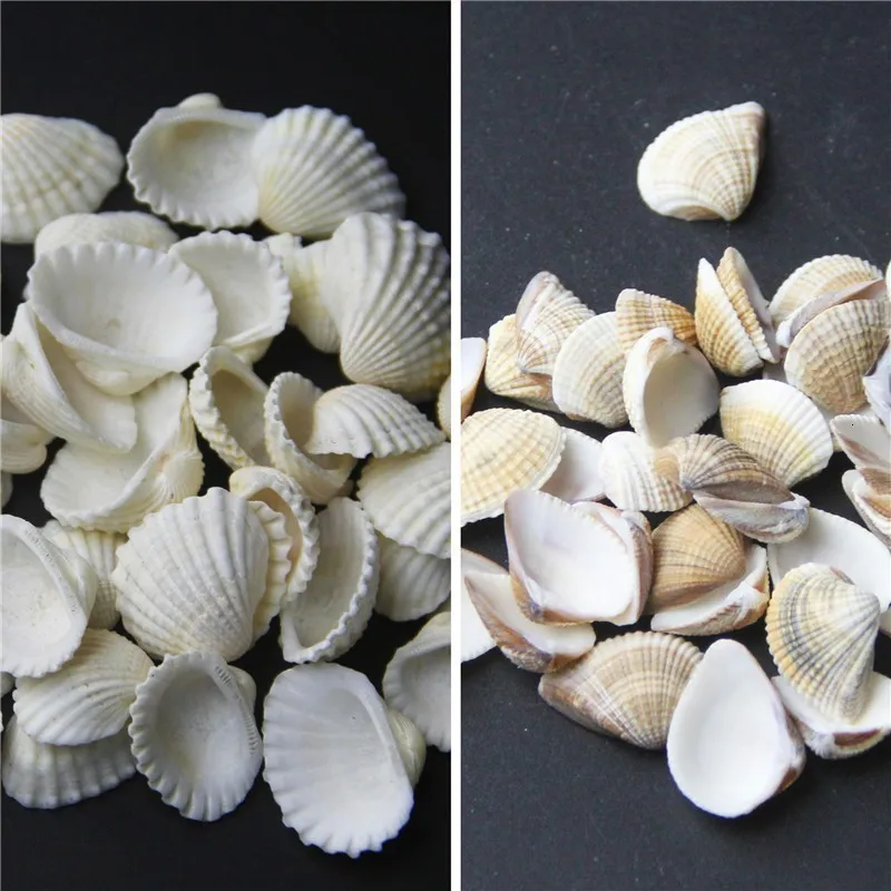 Случайный стиль 200 г натуральный корпус миниатюрный пейзаж украшение аквариума