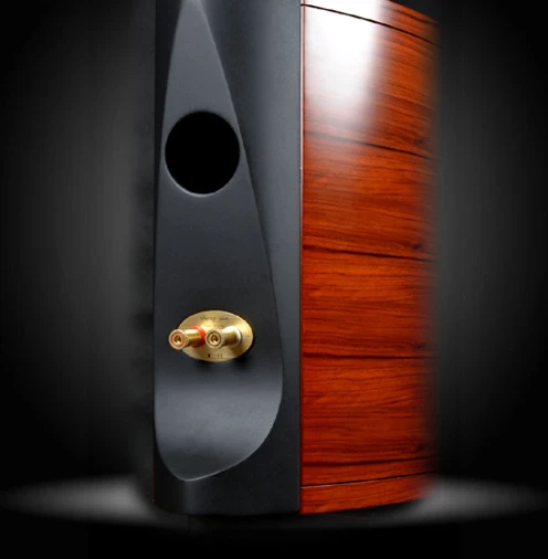 SS 002 сканирующее устройство говорить 950000 6 5 ''Midwoofer DIY 5'' в виде книжной