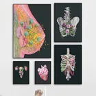 Картина на холсте, анатомическая живопись, грудь, сердце, таз, грудная клетка, матка, постеры в скандинавском стиле, настенные картины для офиса врача