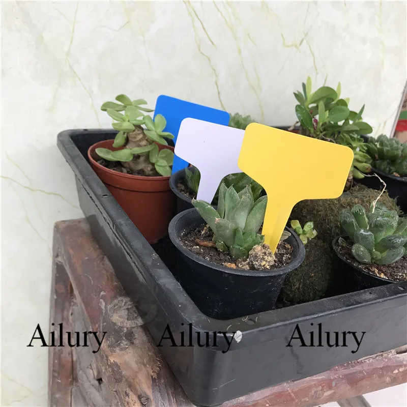 

Multi-color Plastic Gardening T Label Flower Seeding Small Sign,Green Plant Succulent Potted Plant Insert Card