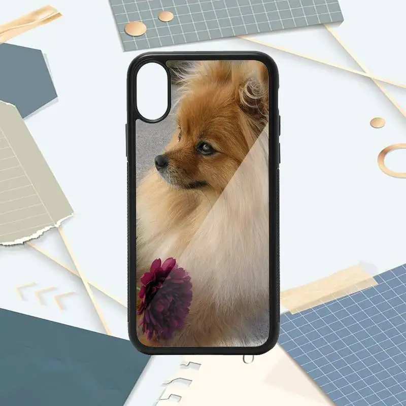 

Pomeranian dogs dog lovely Phone Case PC for iPhone 11 12 pro XS MAX 8 7 6 6S Plus X 5S SE 2020 XR