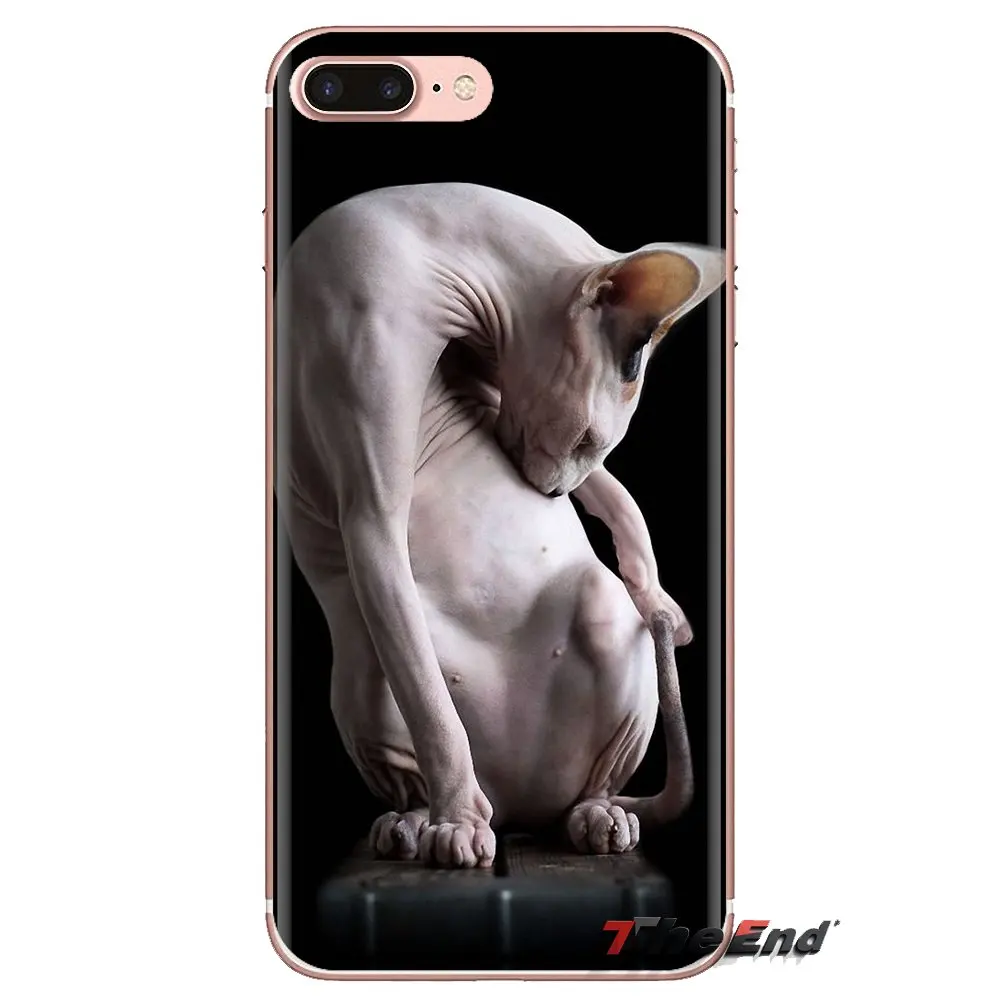 For Samsung Galaxy S3 S4 S5 Mini S6 S7 Edge S8 S9 S10 Plus Note 3 4 5 8 9 Friendliest sphynx cat kitty Poster Phone Shell Covers |
