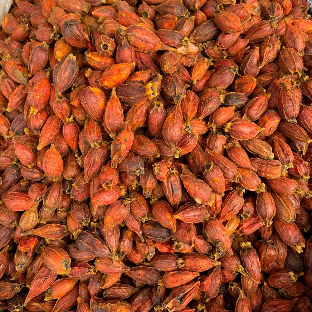 Большая красная сухая гардения снимает расстроение очищает печень улучшает