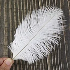 10 шт., декоративные белые страусиные перья 20 см30 см35 см