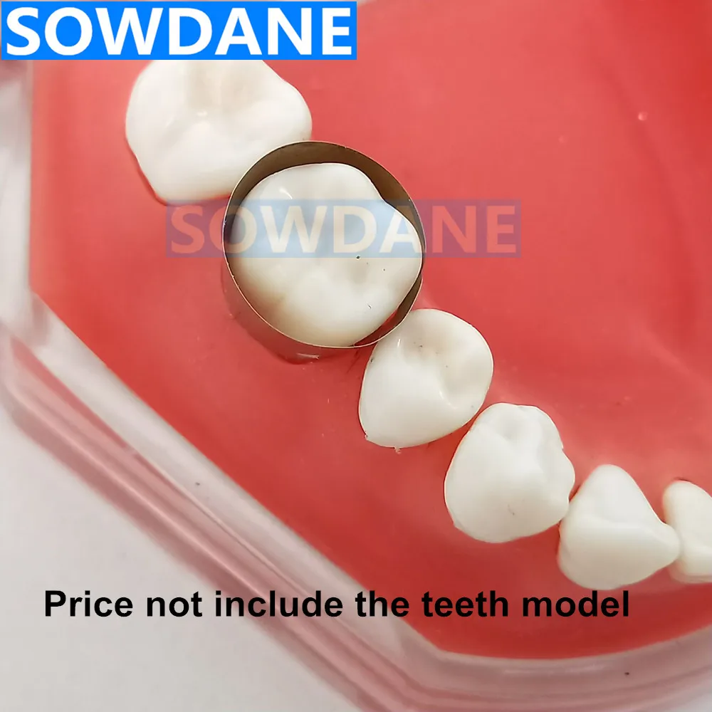 10 ⑤ кор. зубные Близнецы молярные матрицы Стоматологические Ортодонтические