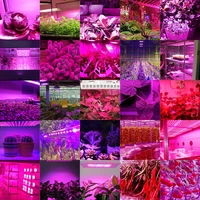 Timing Function LED Plant Light 1200W 2400W 3600W Full Spectrum LED Plant Growth Lamp Tent Plant Flower Sowing Growth Fitolamp