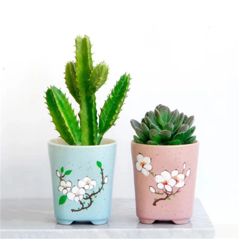 

Korean Ins Painted Pink Blue Ceramic Flower Pot Cute Simple Succulent Plant Pot Home Decoration Desktop Ornaments Gardening
