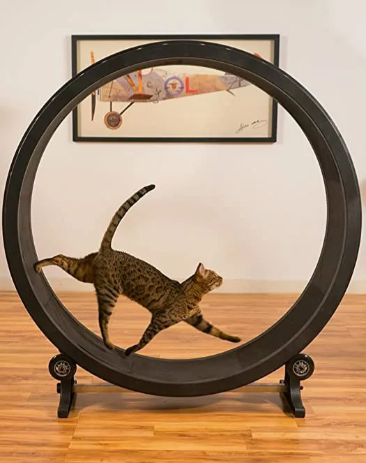 Cat sports wheel cat toy cat sports toy cat running wheel climbing frame cat climbing wheel cat treadmill