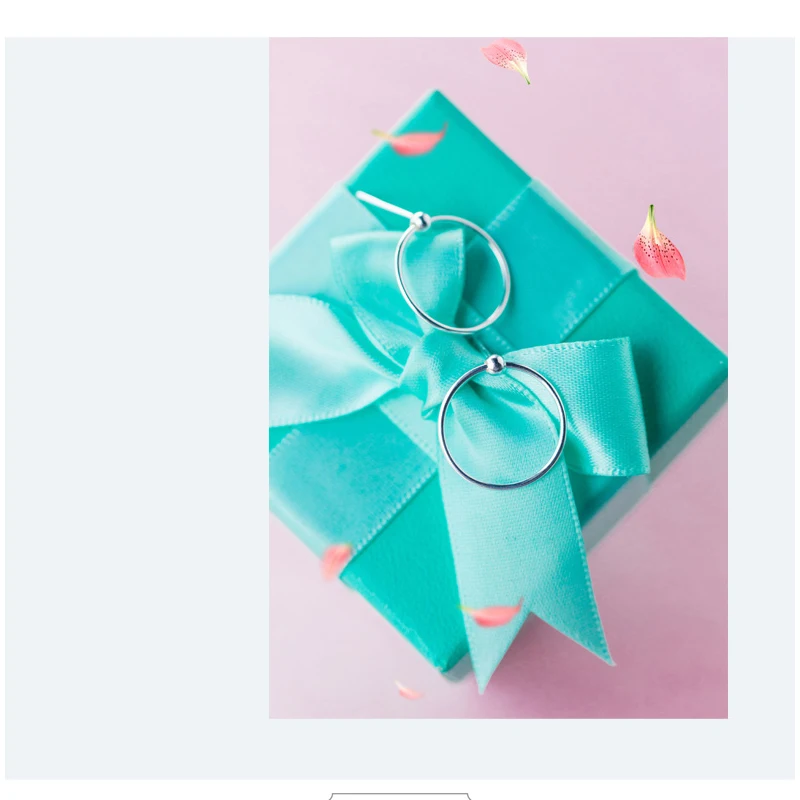 Серьги гвоздики женские круглые из серебра 100% пробы DS1308|Серьги-гвоздики| |