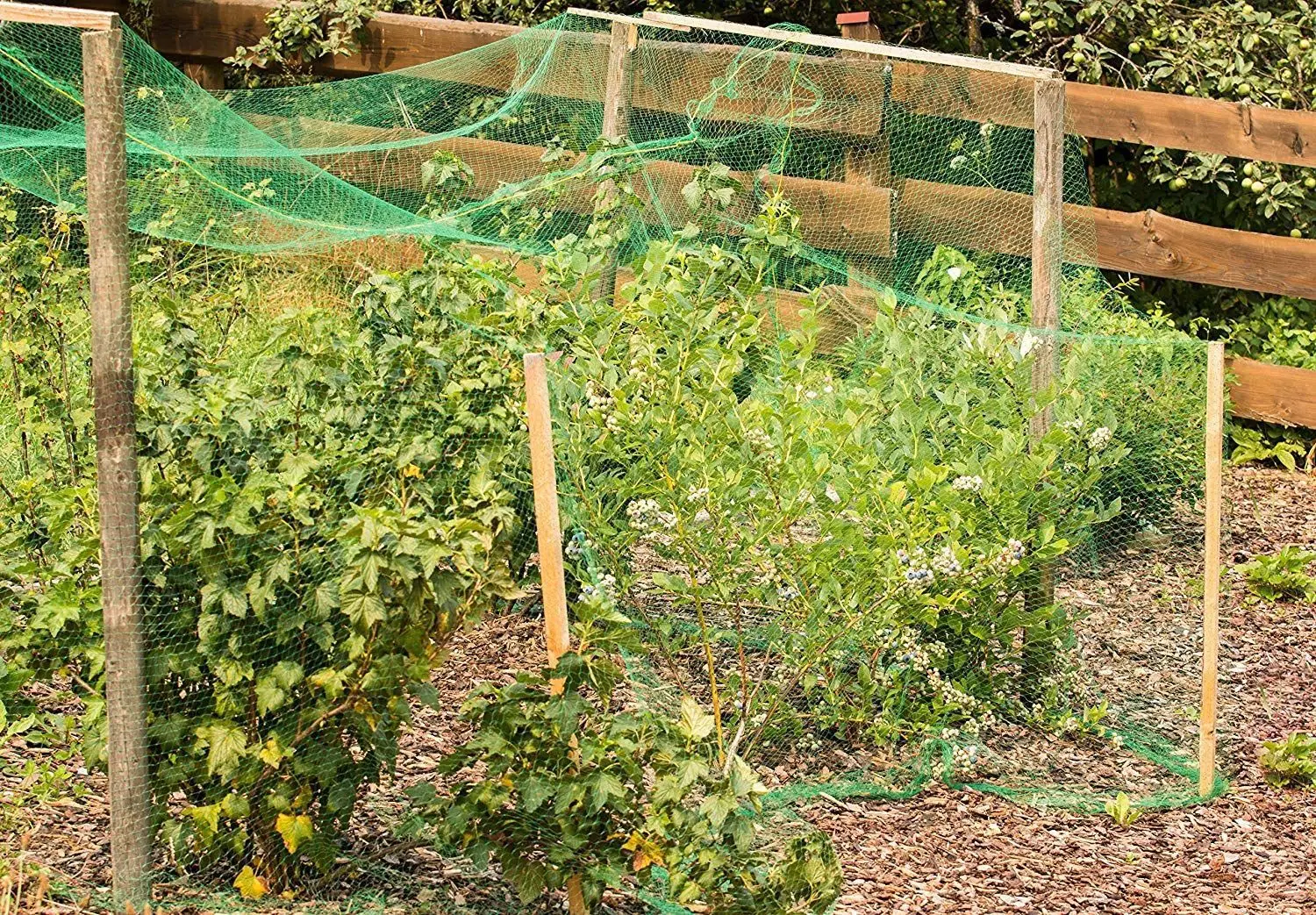 

Mesh Bird Netting For Garden Chicken Poultry Pond Heron Pigeon Mesh To Protect Plants Vegetables Fruit Tree Bird Protection Net