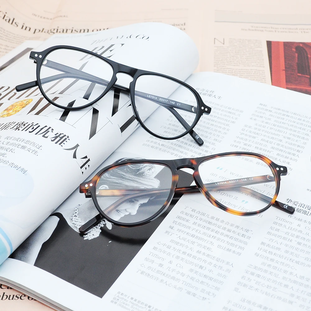 

Brand Name Myopia Glasses Frame Easy Installation Men Women Oval Metal Hinge PC Lens With Packaging