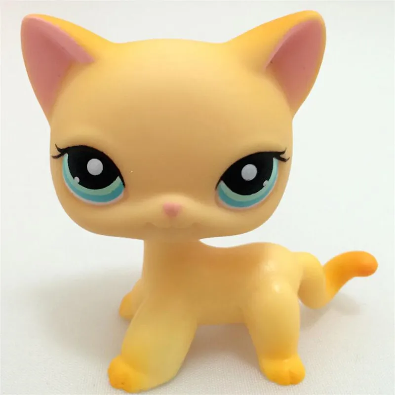 LPS Pet Shop игрушки настоящая редкая персидская кошка # CHAT персанская желтая старая