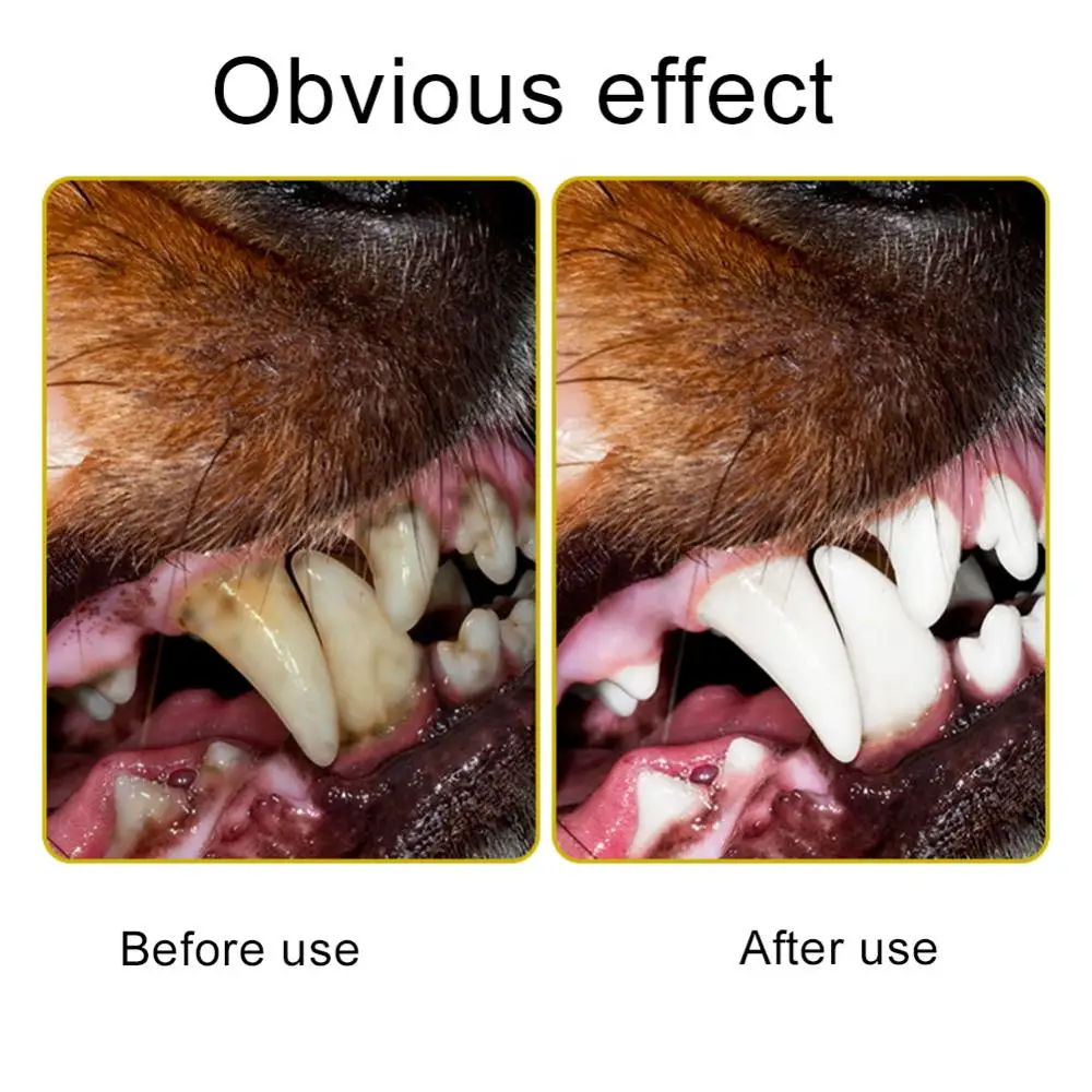 

Pet Bite Resistant Cactus Shape Teeth Cleaner Toothbrush Stick Dog Puppy Chew Toy