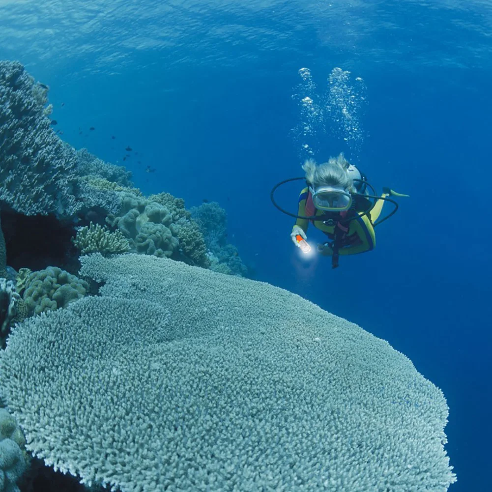 

Diving Battery Flashlight Portable Aluminum Alloy Waterproof Zoomable Lighting Modes Super Bright LED Torch Camping Spotlight