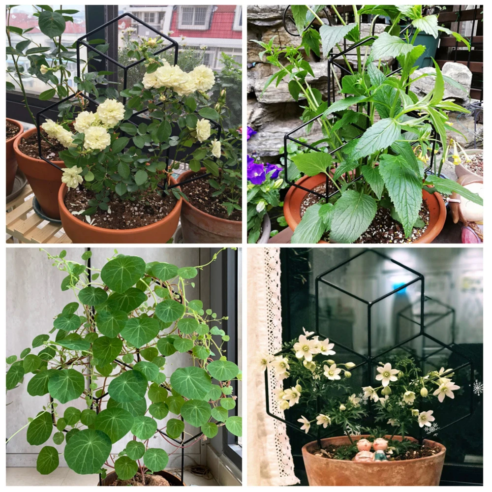 Решетка садовая из черного металла для подъема растений цветов овощей розы