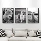 Черно-белый постер альпака, животные, лама, холст, печать, Современная Настенная живопись, скандинавские настенные картины для гостиной, домашний декор