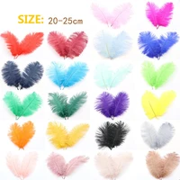 20 25cm dyed ostrich feather colored ostrich hair original ostrich feather decoration ostrich feather feathers for crafts