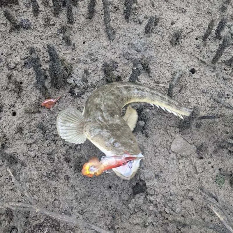 Рыболовные приманки taclepro X01 в розницу тонущие искусственные для креветок