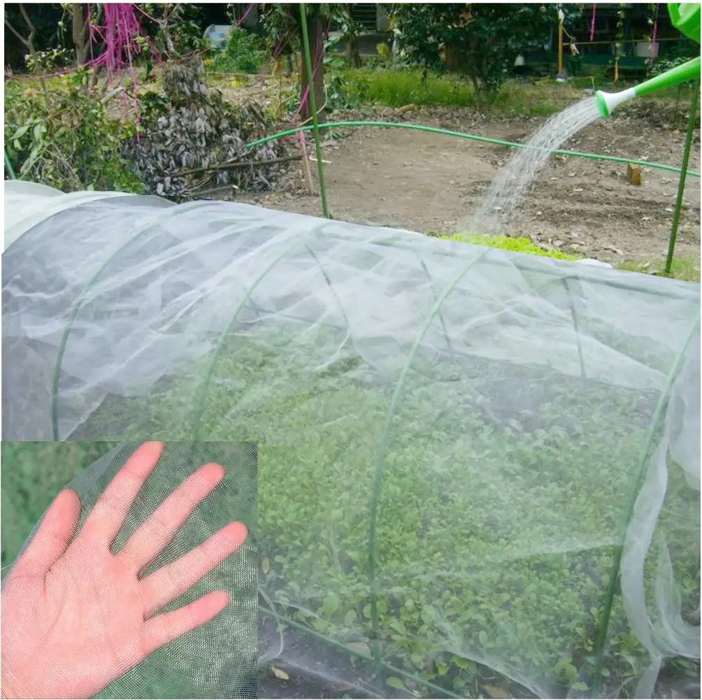 

Wholesale100M Gardening Protective Net Greenhouse Insect Net Anti-Birds Chicken Net Nylon Mist Net Vegetables Fruit Care Covers
