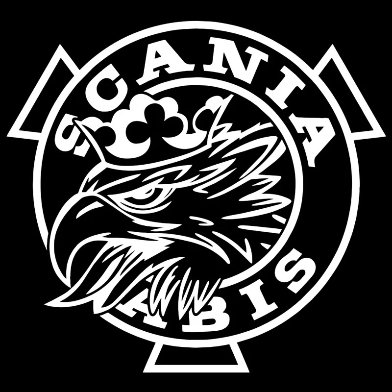 

Car Sticker Funny Eagle Sunblock Car Motorcycle External Accessories Waterproof PVC Decal, Covering Scratches 14cm*14cm