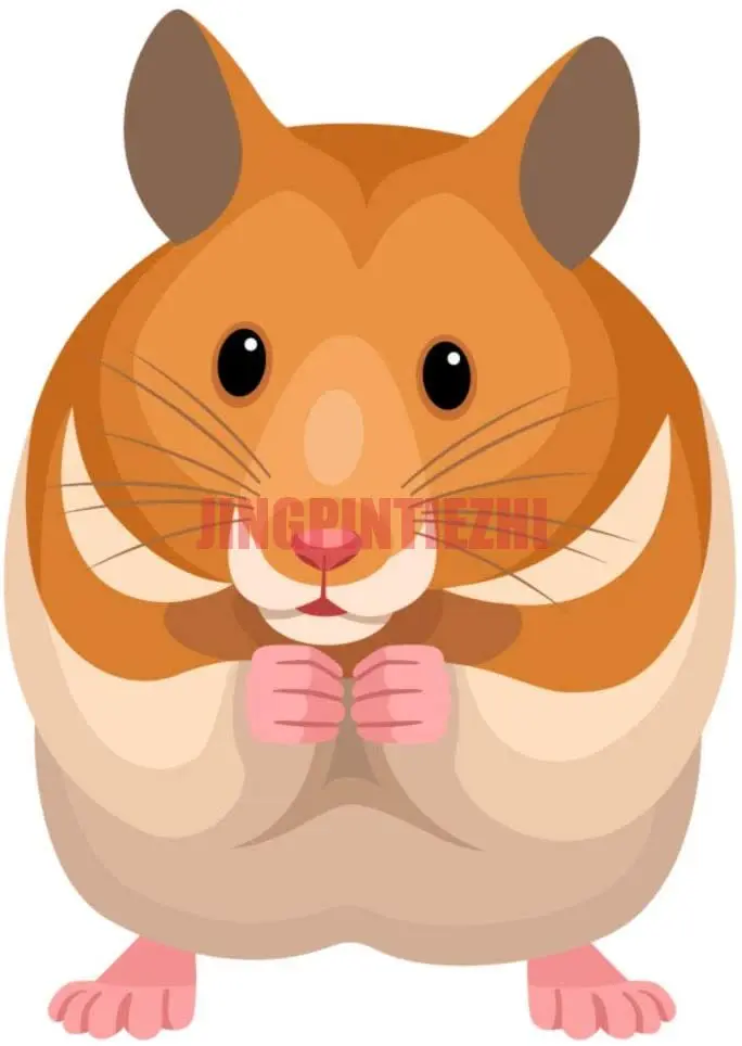 

Car Stickers Vinyl Motorcycle Decal Car Window Body Decorative Cute Little Hamster Color Decals Bumper Stickers