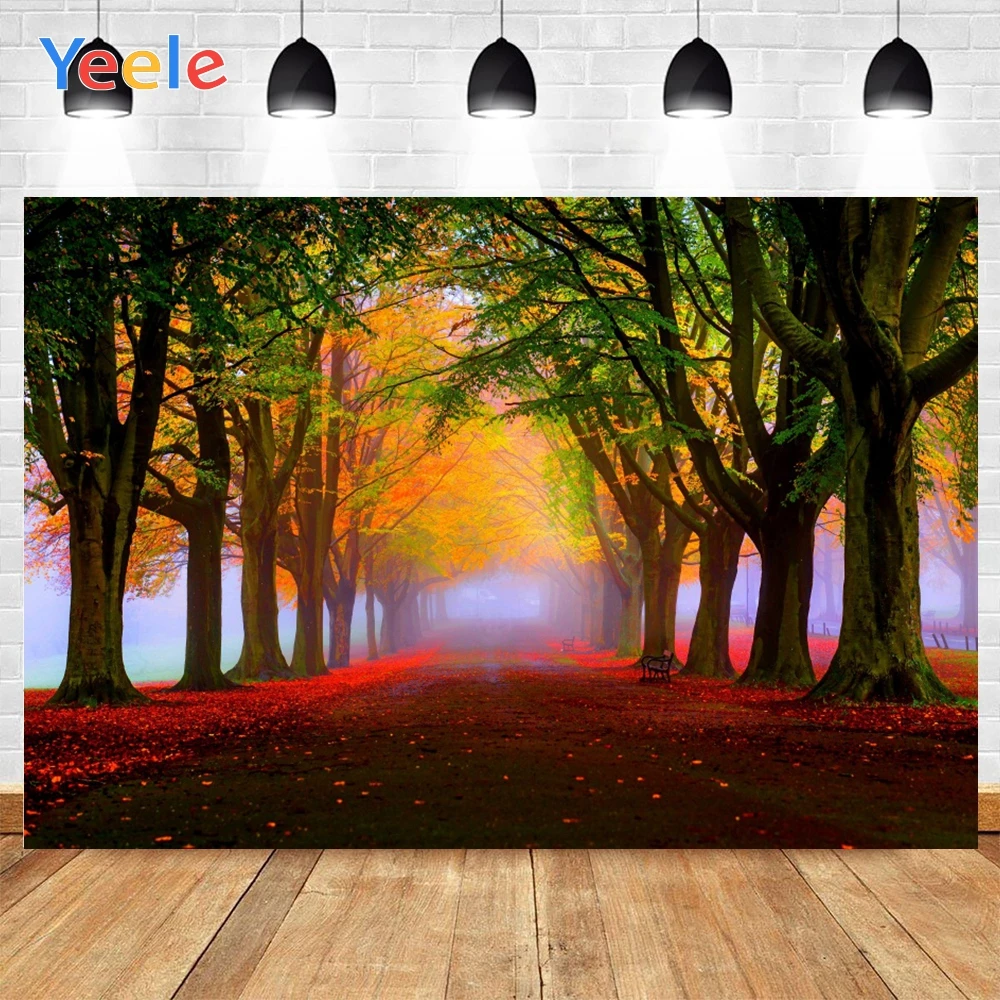 Yeele Morning лес деревья Красные золотые и зеленые листья белый туман фон Фотофон для