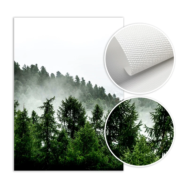 Настенная Картина на холсте с изображением леса | Дом и сад