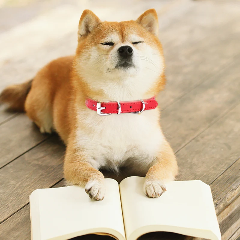 Регулируемый ошейник для питомцев ошейники из искусственной кожи собак и кошек