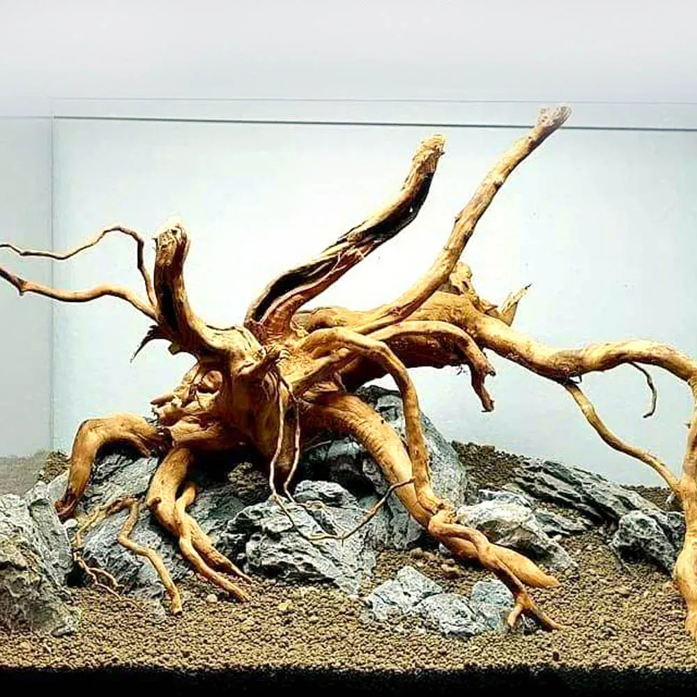 Behogar натуральный плавника аквариум деревянный декор ствол дерева тропических