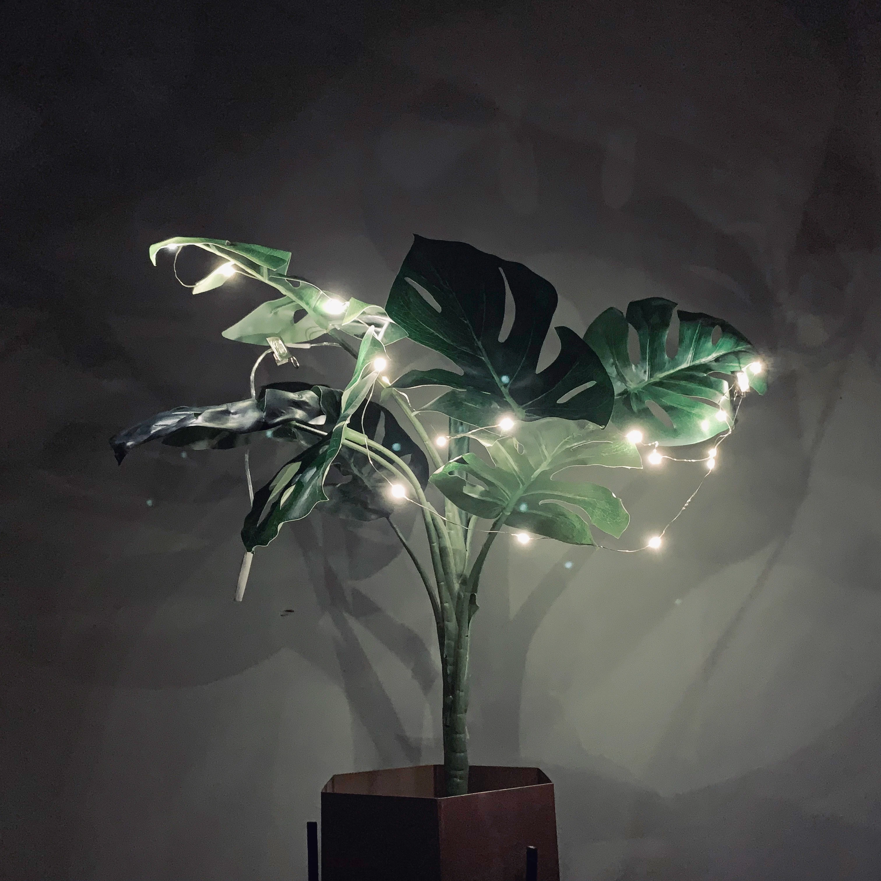 2 м 20 огней пробковая световая струна медная проволока световое украшение