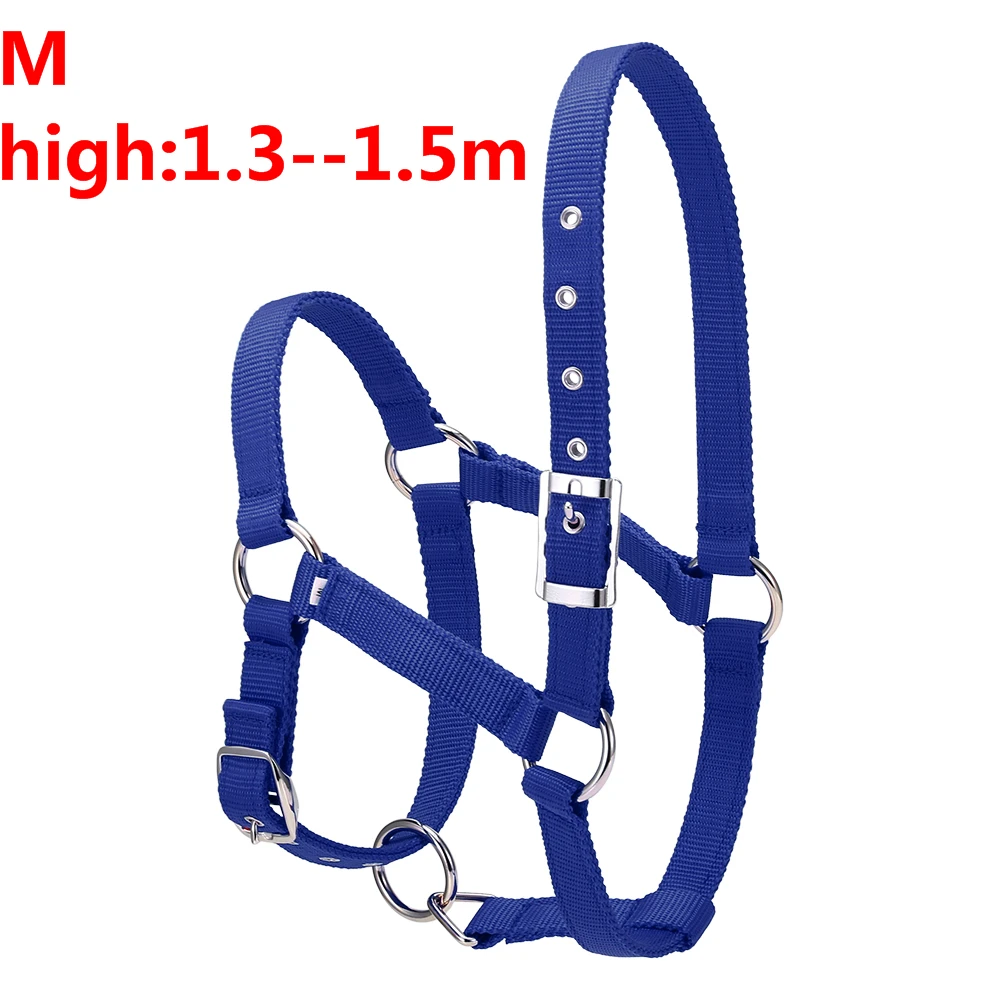 blue M S/M/L 6 мм утолщенный ошейник для головы лошади, регулируемый безопасный ошейник с завязкой на шее, ошейник для верховой езды, оборудование для гонок, тренировочная веревка, горячая распродажа - Цвет: blue M