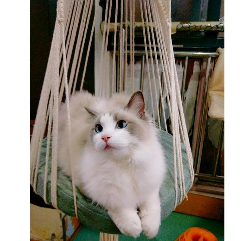 Ins Bohemia Cat Hole Leisure cat hammock tent kitten beds house cat kennel cat window hammock cushion mat cat window hammock