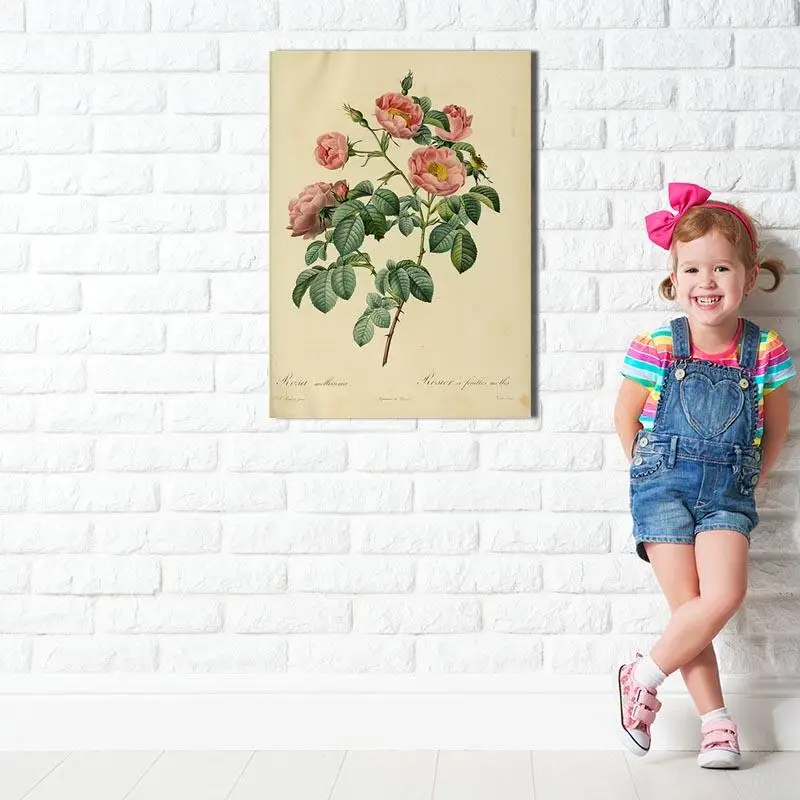 Beste Nieuwe Hd Rosa Inermis Art Schilderen Poster Canvas Schilderij Posters En Prints Wall Art Foto Voor Woonkamer Huisinrichting 1T