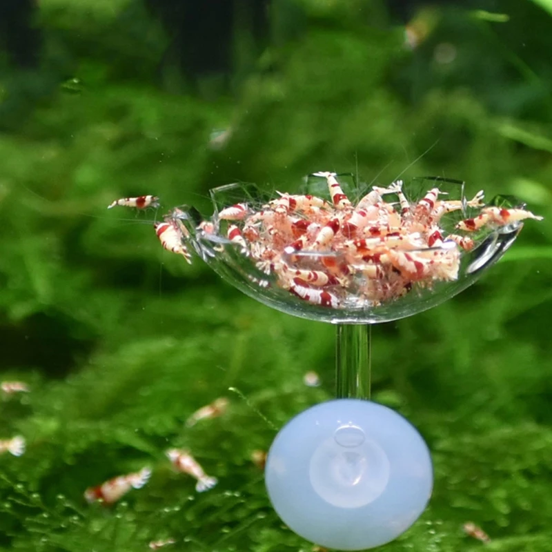 

Fish Tank Feeder Aquarium Shrimp Acrylic Feeding Bowl Floating Clear With Sucker