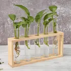 Прозрачная ваза для гидропонных растений, креативная декоративная ваза с деревянной рамкой, настольный бонсай для украшения цветов