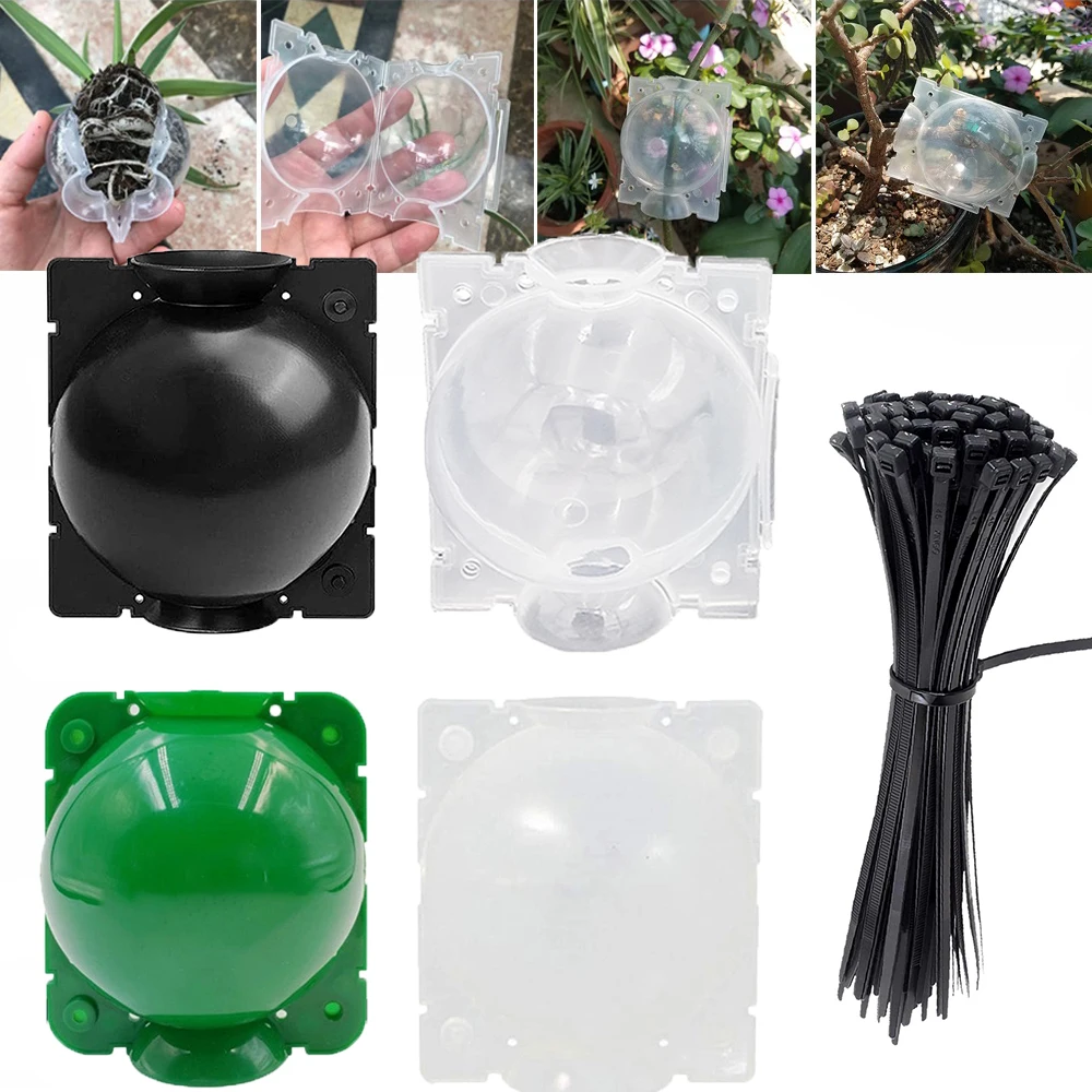 

10 шт., коробка для выращивания садовых растений